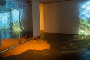 An installation of a video projected onto mylar, creating a blue-green ripple effect on the ground. Underneath the video, we see mud, flowers, and other harvests.