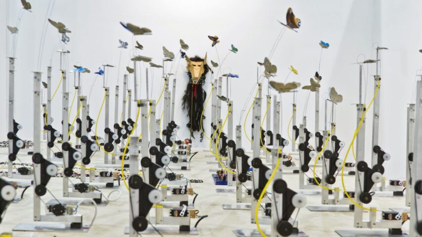 Opening Reception: November 2025 Exhibitions - MOCA